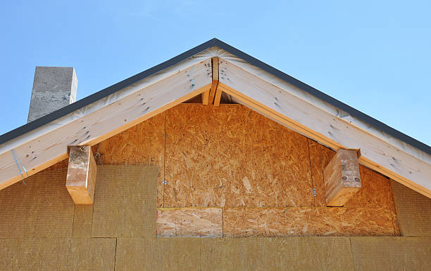 Best Storm Damage Siding Repair  in Newport, NC